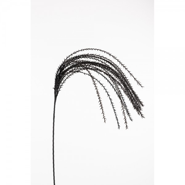 POISON ΚΛΑΔΙ ΜΑΥΡΟ Υ145cm