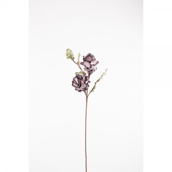 ACAMPE ΑΝΘΟΣ ΜΩΒ Υ100cm 015001