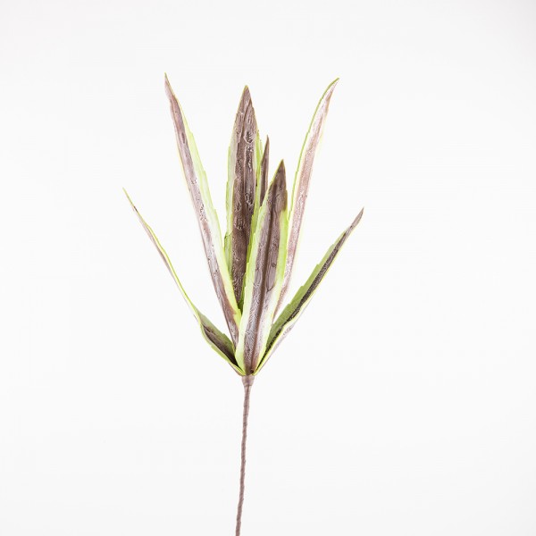 LANCE ΦΥΛΛΑ ΠΡΑΣΙΝΑ/ΚΑΦΕ Υ100cm 015010