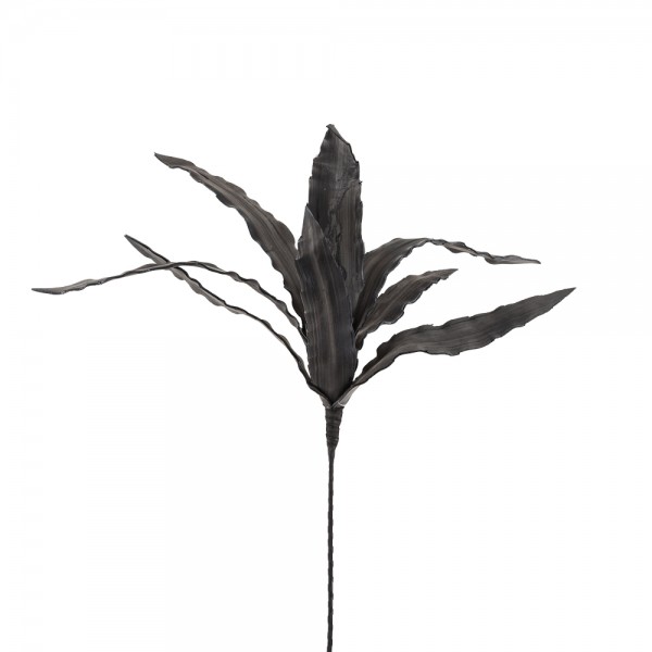 MOORE ΦΥΛΛΑ ΜΑΥΡΑ Υ100cm