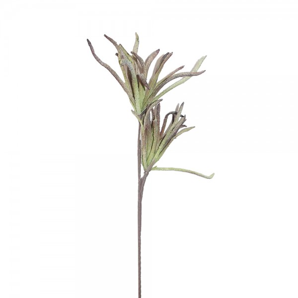 JUNGLE 2 ΤΕΧΝΗΤΑ ΦΥΛΛΑ Υ104cm