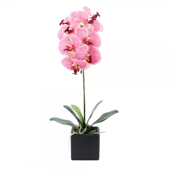 ORCHIDEA 4 ΤΕΧΝΗΤΟ ΦΥΤΟ ΣΕ ΓΛΑΣΤΡΑ ΡΟΖ/ΚΙΤΡΙΝΟ Υ63cm