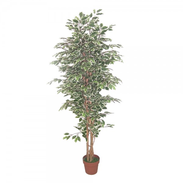 FICUS ΤΕΧΝΗΤΟ ΦΥΤΟ POLYESTER PE/PP ΠΡΑΣΙΝΟ H170cm