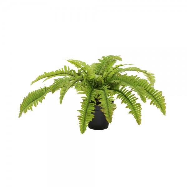 BOSTON FERN ΦΥΤΟ ΤΕΧΝΗΤΟ ΣΕ ΓΛΑΣΤΡΑ 36cm POLYESTER ΠΡΑΣΙΝΟ PE/PP