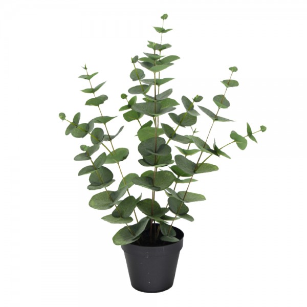EUCALYPTUS ΦΥΤΟ ΤΕΧΝΗΤΟ ΣΕ ΓΛΑΣΤΡΑ 49cm POLYESTER ΠΡΑΣΙΝΟ PE/PP