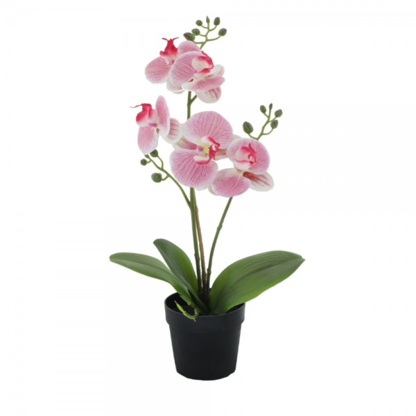 ORCHID 1 ΤΕΧΝΗΤΟ ΦΥΤΟ PE/PP PEVA ΡΟΖ ΠΡΑΣΙΝΟ H35cm