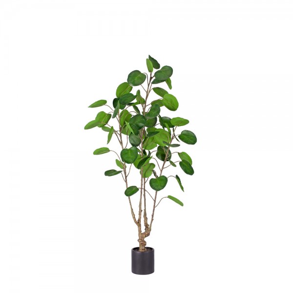 MONEY POCKET ΤΕΧΝΗΤΟ ΦΥΤΟ ΣΕ ΓΛΑΣΤΡΑ PE ΠΡΑΣΙΝΟ H120cm