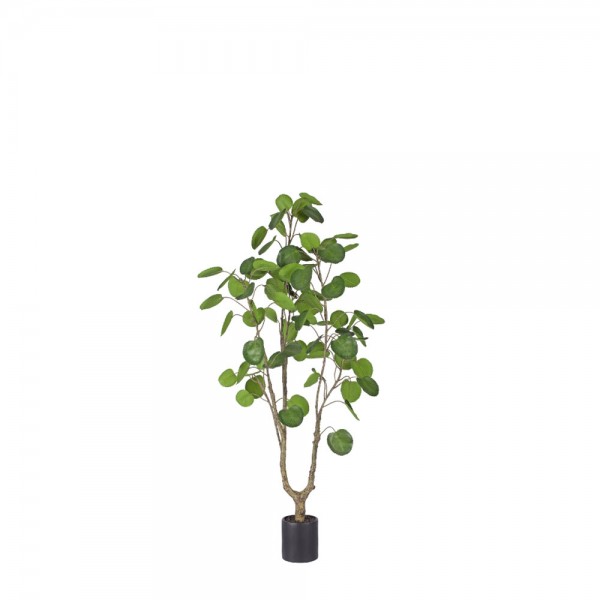 MONEY POCKET ΤΕΧΝΗΤΟ ΦΥΤΟ ΣΕ ΓΛΑΣΤΡΑ PE ΠΡΑΣΙΝΟ H150cm