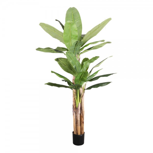 BANANA ΔΕΝΤΡΟ ΤΕΧΝΗΤΟ ΣΕ ΓΛΑΣΤΡΑ PVC ΤΣΙΜΕΝΤΟ ΠΡΑΣΙΝΟ ΜΑΥΡΟ 240