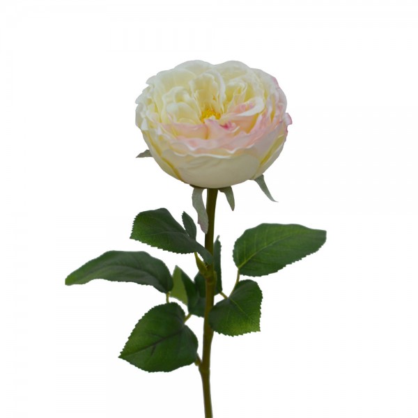 CABBAGE ROSE ΛΟΥΛΟΥΔΙ ΤΕΧΝΗΤΟ 66cm POLYESTER ΛΕΥΚΟ ΡΟΖ ΠΡΑΣΙΝΟ