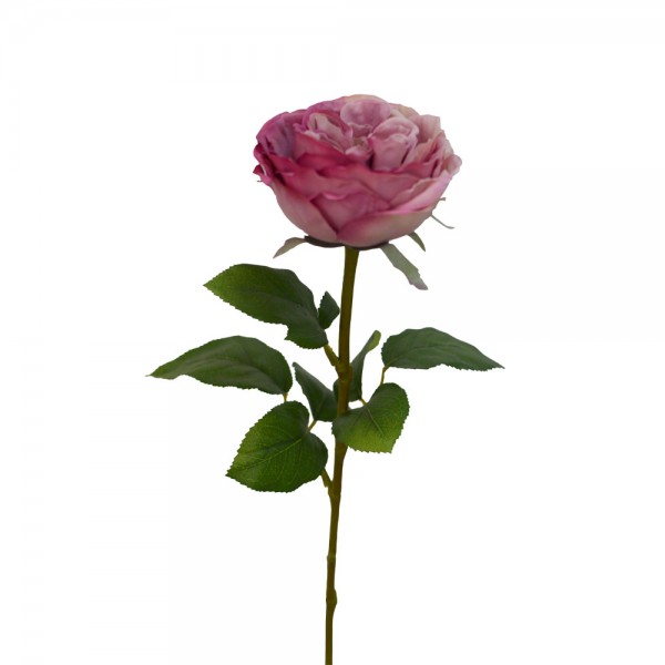 CABBAGE ROSE ΛΟΥΛΟΥΔΙ ΤΕΧΝΗΤΟ 66cm POLYESTER ΡΟΖ ΦΟΥΞΙΑ ΠΡΑΣΙΝΟ