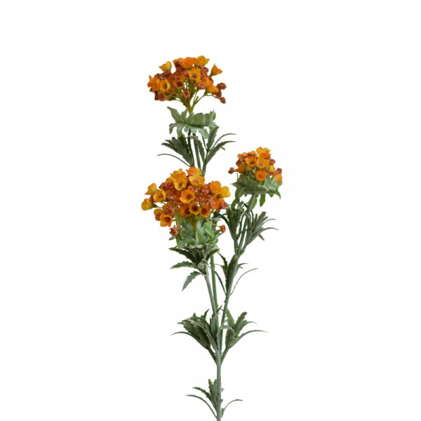 SWEET ALYSSUM ΛΟΥΛΟΥΔΙ ΤΕΧΝΗΤΟ 78 POLYESTER ΠΟΡΤΟΚΑΛΙ ΠΡΑΣΙΝΟ