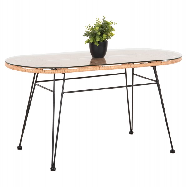 ΤΡΑΠΕΖΙ ΜΕΣΗΣ ΜΕΤΑΛΛΙΚΟ ALLEGRA ΜΕ WICKER  HM5695.11 100x45x51,5 εκ.