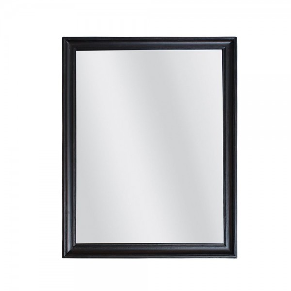 Frame καθρέπτης 60x3xH80cm 11-0253