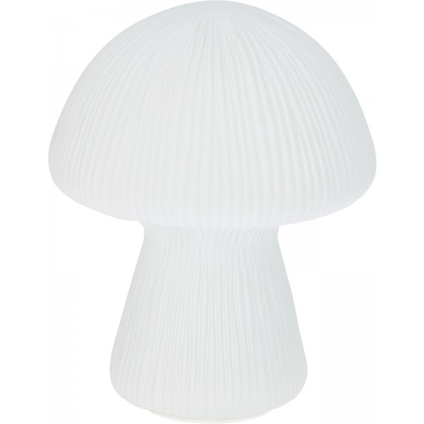 ΕΠΙΤΡΑΠΕΖΙΟ ΦΩΤΙΣΤΙΚΟ ΜΑΝΙΤΑΡΙ LED ΛΕΥΚΟ 16X20CM ADG000050