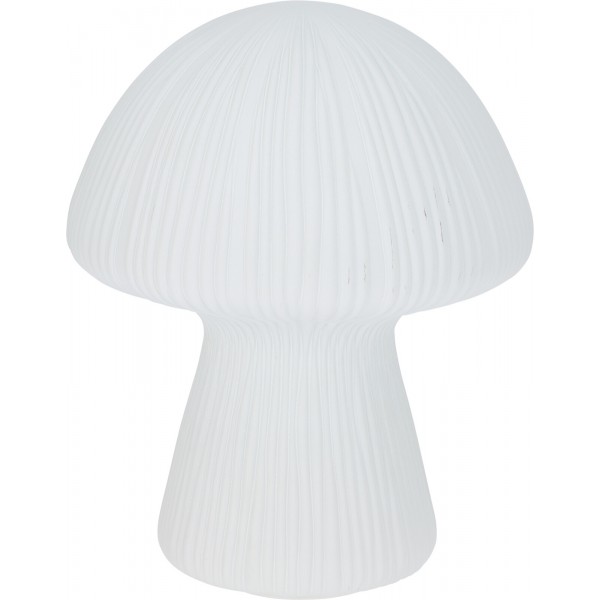 ΕΠΙΤΡΑΠΕΖΙΟ ΦΩΤΙΣΤΙΚΟ ΜΑΝΙΤΑΡΙ LED ΛΕΥΚΟ 19X25CM ADG000060