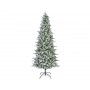 /christmas/296-124-0349.jpg