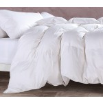NEF-NEF ΠΑΠΛΩΜΑ ΜΟΝΟ HOLLOWFIBER 160X220CM WHITE 008339