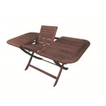 EASY Τραπέζι Επεκτ/νο Πτυσ/νο 120+40x80 H.74cm Ξύλο Acacia Ε20092,9