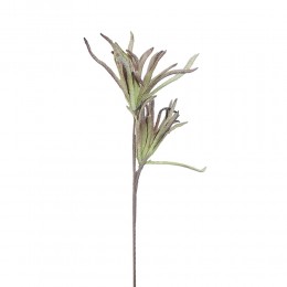 JUNGLE 2 ΤΕΧΝΗΤΑ ΦΥΛΛΑ Υ104cm