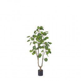 MONEY POCKET ΤΕΧΝΗΤΟ ΦΥΤΟ ΣΕ ΓΛΑΣΤΡΑ PE ΠΡΑΣΙΝΟ H150cm