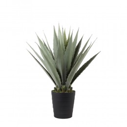 AGAVE ΦΥΤΟ ΤΕΧΝΗΤΟ ΣΕ ΓΛΑΣΤΡΑ PVC ΤΣΙΜΕΝΤΟ ΠΡΑΣΙΝΟ ΜΑΥΡΟ 58