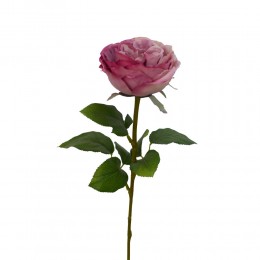 CABBAGE ROSE ΛΟΥΛΟΥΔΙ ΤΕΧΝΗΤΟ 66cm POLYESTER ΡΟΖ ΦΟΥΞΙΑ ΠΡΑΣΙΝΟ