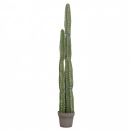 ΔΙΑΚΟΣΜΗΤΙΚΟ ΣΥΝΘΕΤΙΚΟ ΦΥΤΟ HM4741 ΚΑΚΤΟΣ ΜΕ ΓΛΑΣΤΡΑ Φ19,5x141Υεκ.