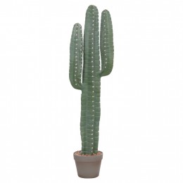 ΔΙΑΚΟΣΜΗΤΙΚΟ ΣΥΝΘΕΤΙΚΟ ΦΥΤΟ HM4742 ΚΑΚΤΟΣ ΜΕ ΓΛΑΣΤΡΑ 17,5x26x103Υεκ.