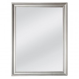 FRAME ΚΑΘΡΕΠΤΗΣ ΑΣΗΜΙ CHAMPAGNE 60x3x80cm