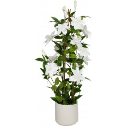 ΔΙΑΚΟΣΜΗΤΙΚΟ ΛΕΥΚΟ ΦΥΤΟ ΣΕ ΓΛΑΣΤΡΑ 35Χ98CM 318001480
