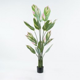 Διακοσμητικό φυτό σε γλάστρα Aglaonema Inart πράσινο Φ80x150εκ