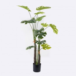 Διακοσμητικό φυτό σε γλάστρα Deliciosa I Inart πράσινο Φ90x160εκ