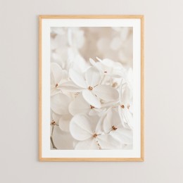 Πίνακας Belo pakoworld με ψηφιακή εκτύπωση και πλαίσιο 33x1.5x48εκ