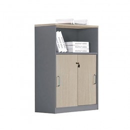 PROGRESS Ντουλάπι Γραφείου με Ράφι, 80x40x120cm Δίφυλλο Συρόμενες Πόρτες με 2 Ράφια, Απόχρωση Elm-Grey ΕΟ816