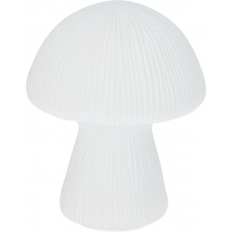 ΕΠΙΤΡΑΠΕΖΙΟ ΦΩΤΙΣΤΙΚΟ ΜΑΝΙΤΑΡΙ LED ΛΕΥΚΟ 16X20CM ADG000050