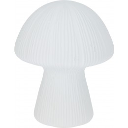 ΕΠΙΤΡΑΠΕΖΙΟ ΦΩΤΙΣΤΙΚΟ ΜΑΝΙΤΑΡΙ LED ΛΕΥΚΟ 19X25CM ADG000060