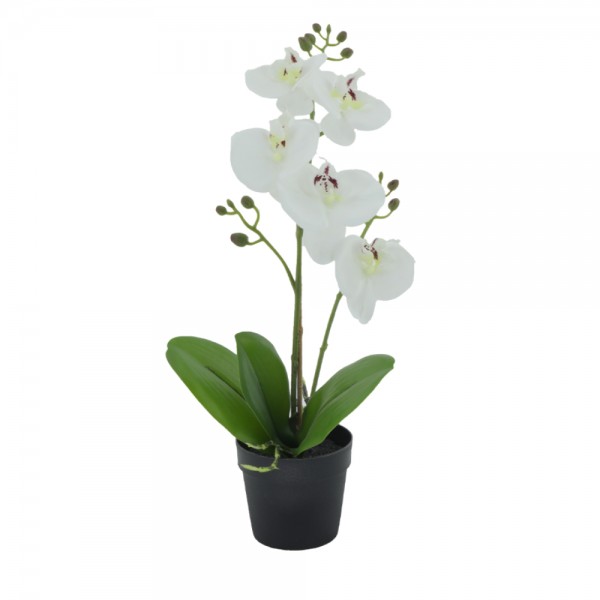 ORCHID 3 ARTIFICIAL PLANT PE/PP PEVA WHITE GREEN H