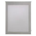 Ara translucent blinder grey 100x175cm