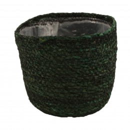GREEN SEAGRASS POT WITH PLASTIC 14X12CM 53215-042
